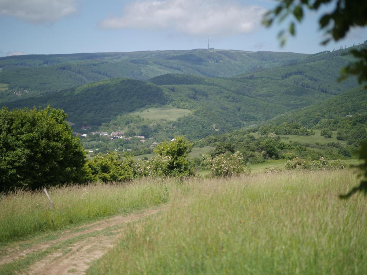 Hotel Selanka Off Road Hill View à Moravske Lieskove Extérieur photo